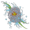 chrysanthemum 2