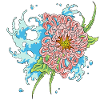chrysanthemum 3