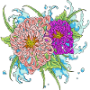 chrysanthemum 4