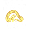 Ball Python Dad Serpentologe