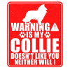 Cadeaux Collie