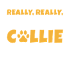 Cadeaux Collie