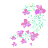 laurier-rose,fleur,lotus,vigne,floral,fleurs