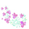 oleander, blomst, lotus, vin, blomster, blomster