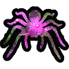 Blühende Spinne