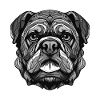 Bulldog Dog Portrait