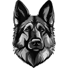 German Shepherd Dog Portrait