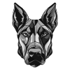 Portrait de chien doberman