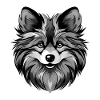 Pomeranian Hund Portrait