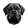 Mastiff Dog Portrait