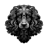 Poodle Dog Portrait