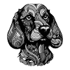 Dachshund Hund Portrait Dackel
