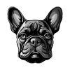 French Bulldog Dog Portrait