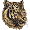 Tiger Portrait