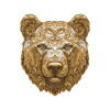 Bear Portrait