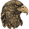Eagle Portrait