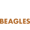Café et Beagle