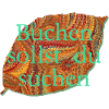 buche e 22