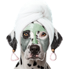 Wellness Dalmatian
