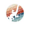 lézard rétro