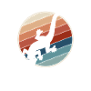 Lizard Retro