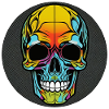 Skull bunt mit rand