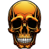 Skull Gold