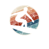 Surfing Retro