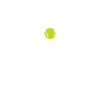 Paddle Whisperer Paddle Tennis