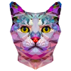 ORIGAMI CAT