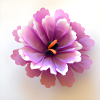 Flower Rosa