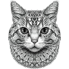STYLIZED CAT MANDALA