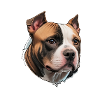 American Stafford