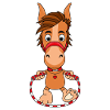 PFERD - PONY - PFERDE - PONYS - SPRINGSEIL