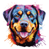 cute Rottweiler