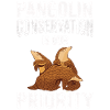 Pangolin Conservation Pangolin Lovers