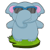 Elephant Sunglasses