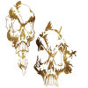 skullss1