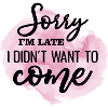 Funny Sacastic Quote