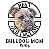 Bouledogue Bulldog Bouledogues Maman