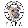 Bulldog Bulldog Bulldogs Papa