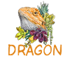 Bearded Dragon Lady