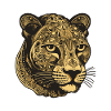 Portrait de guépard