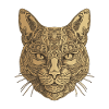 Cat Portrait