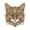 Cat Portrait Head