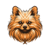 Pomeranian Dog Portrait