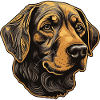 Labrador Hund Portrait