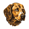 Beagle Dog Portrait