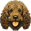 Poodle Dog Portrait