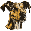 Greyhound Dog Portrait